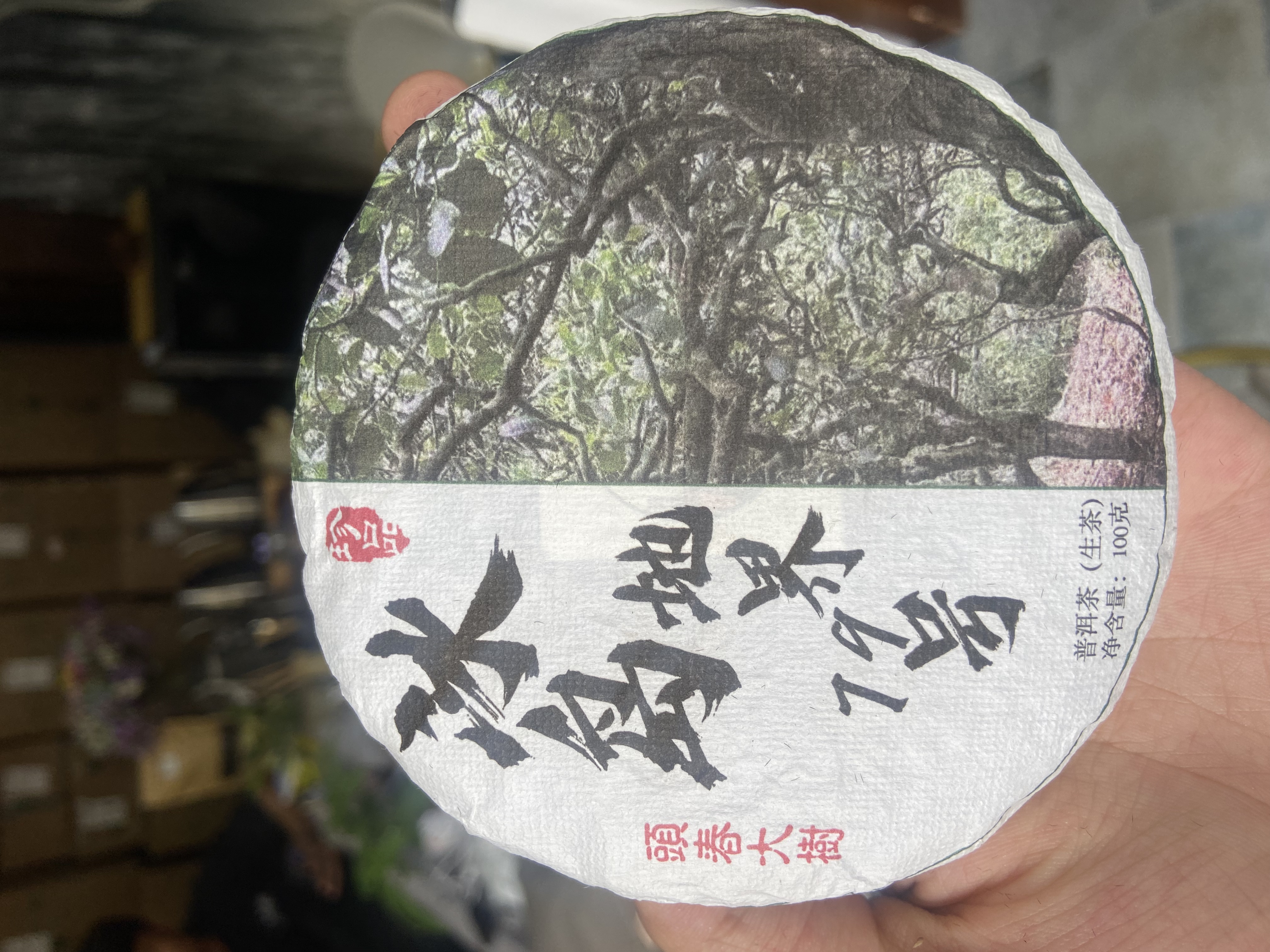 2024年冰岛地界大树茶饼普洱生茶冰糖甜韵香气足-可追根溯源