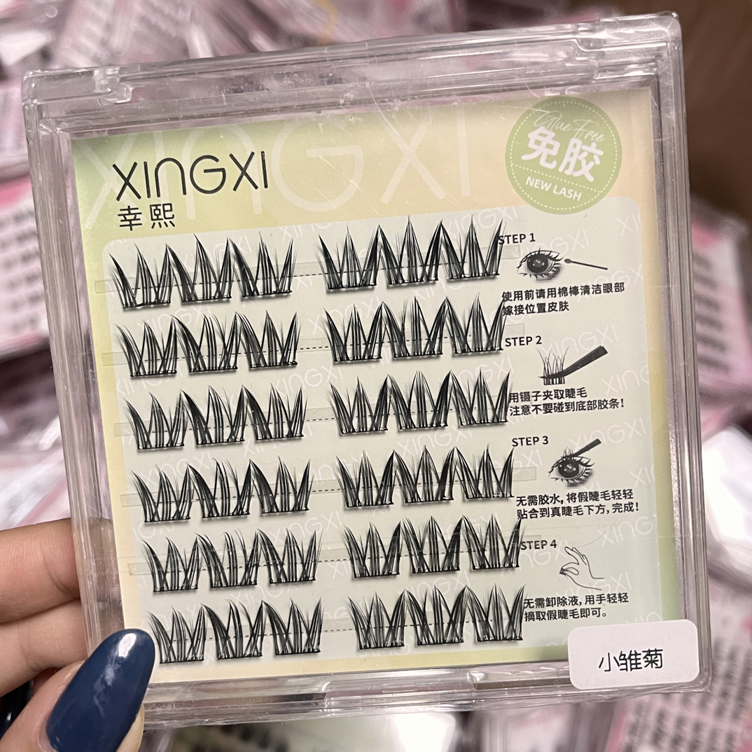 免胶款小雏菊六排装