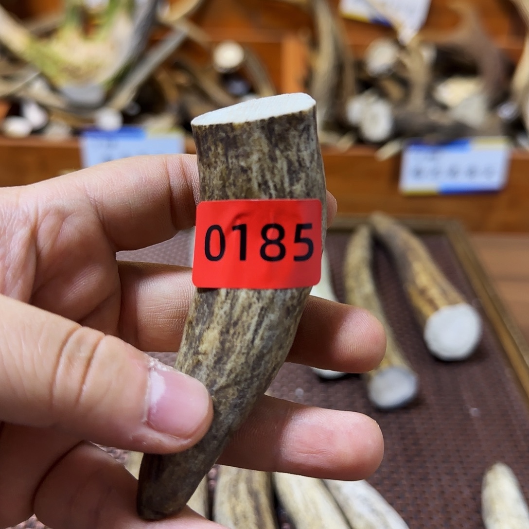 手串/手链鹿骨角尖0185