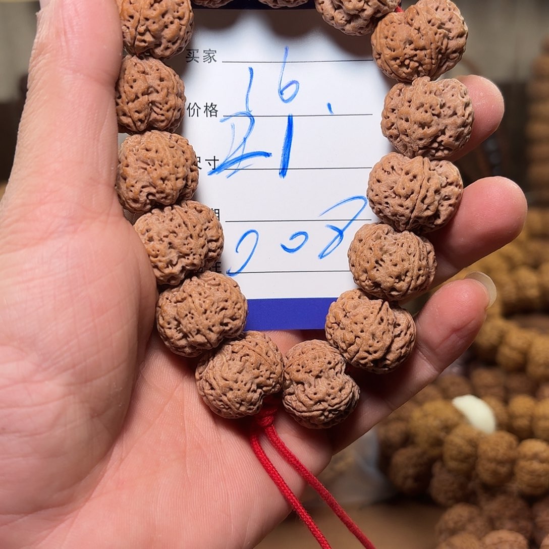 手串金刚菩提梅花龙牙008