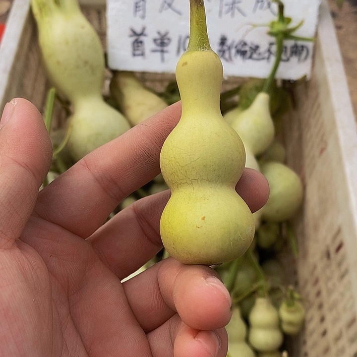 有**待哈哈哈哈哈哈哈哈哈哈哈哈