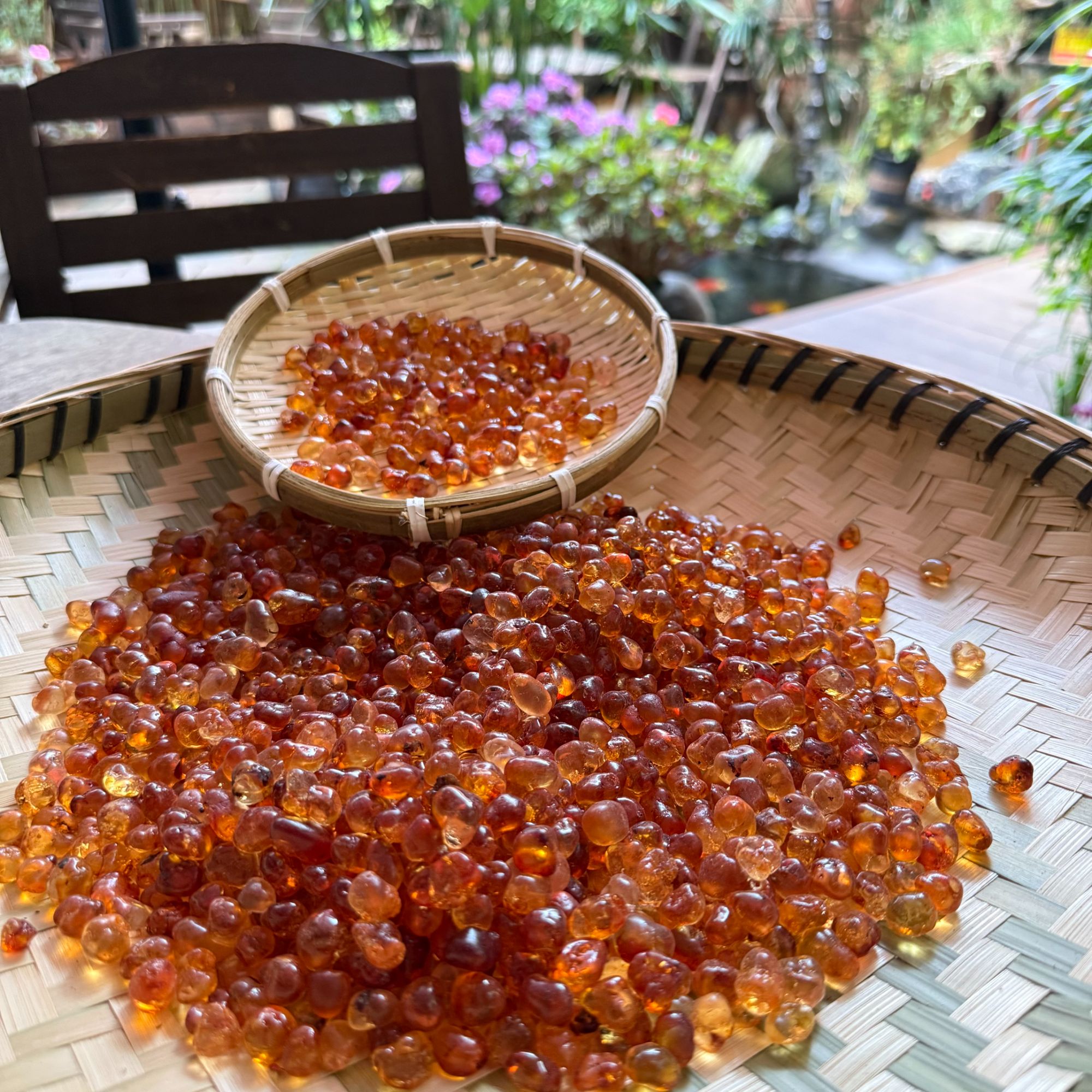 枫谷甄选 - 天然晾晒好品质老树桃树胶  可搭配皂角米银耳莲子