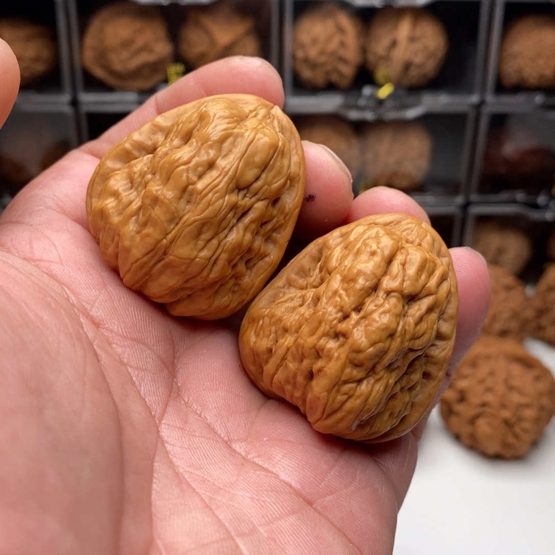 京西金蟾，油腊皮天花板