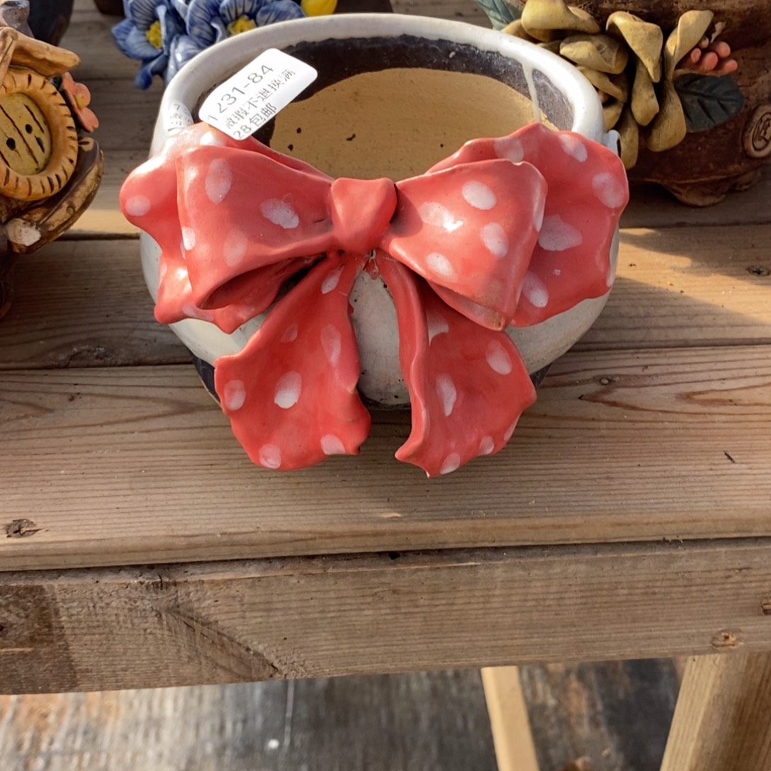 84号多肉盆口径12.5补色