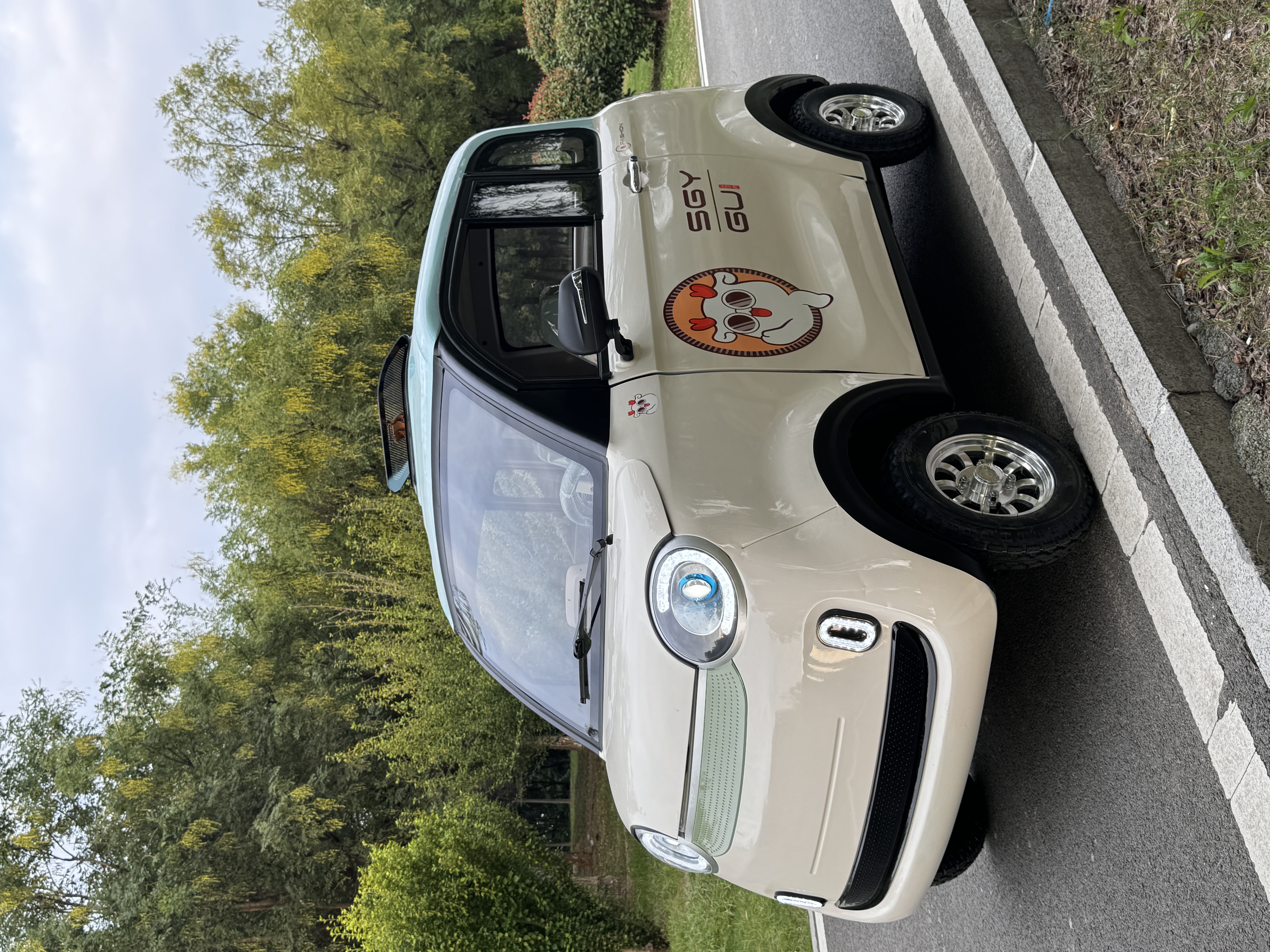 布丁家用小型电动四轮车成人女士代步电瓶车可选油电冷暖空调款