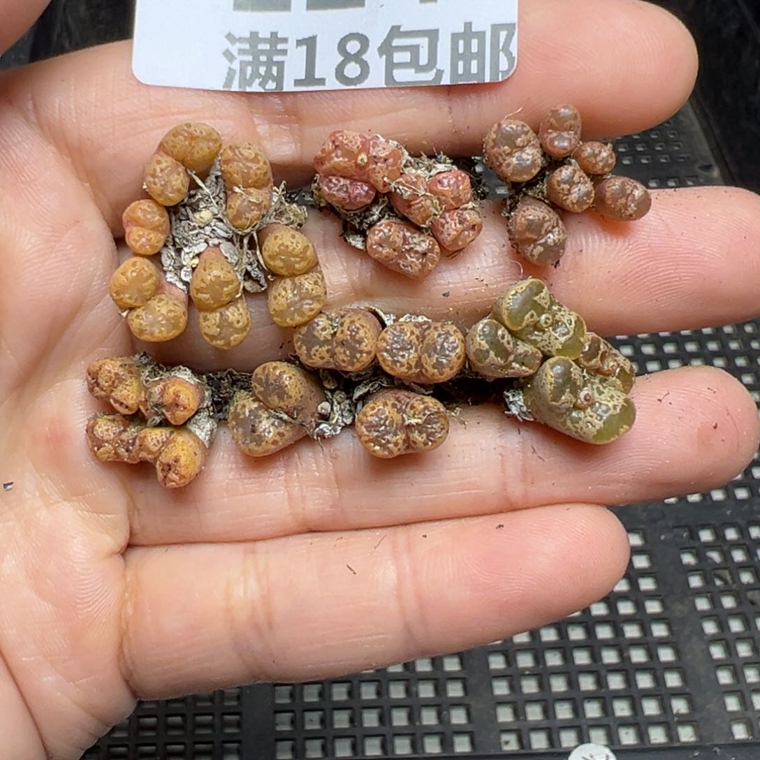 【闪购商品】124……