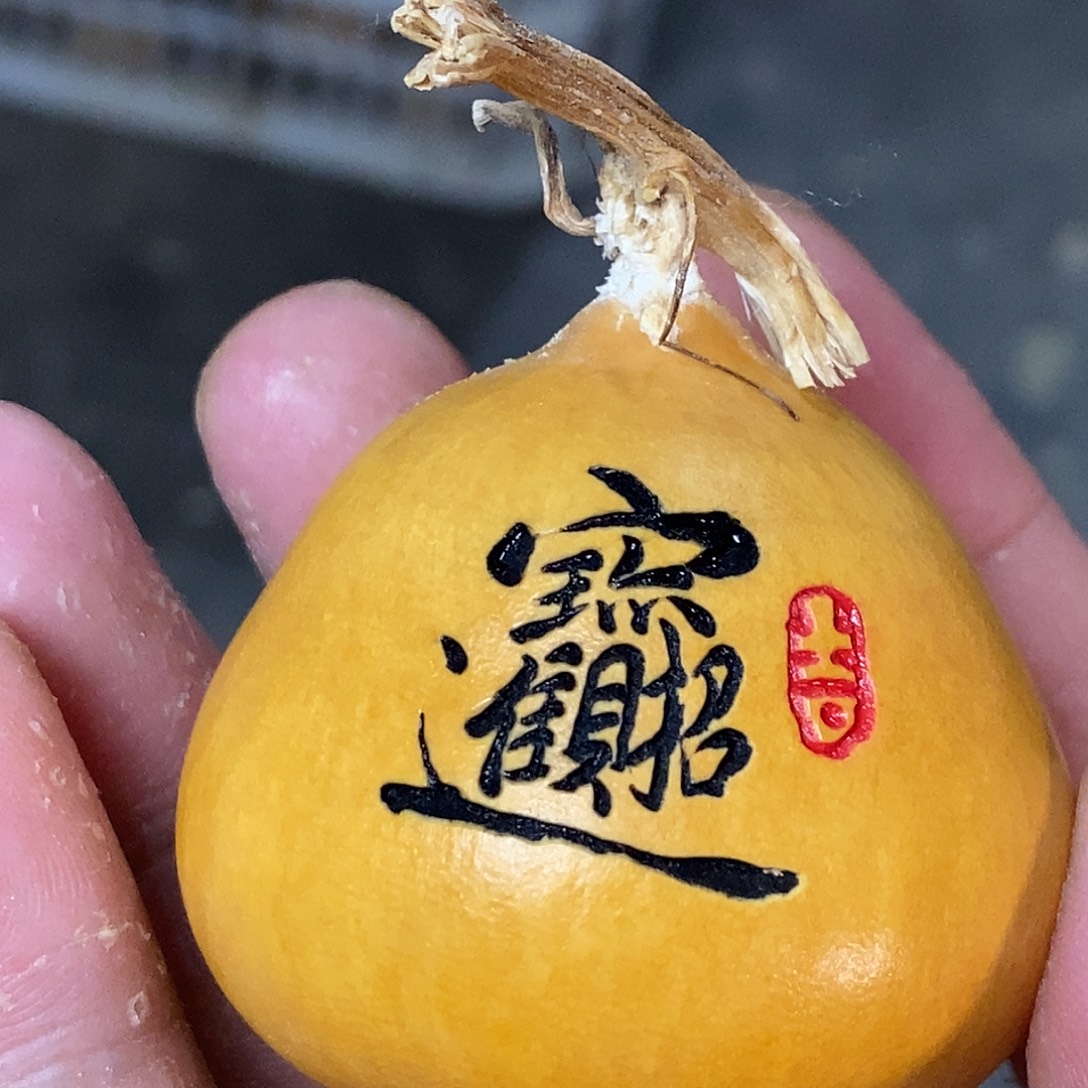 招财进宝是什么鬼东西哈哈