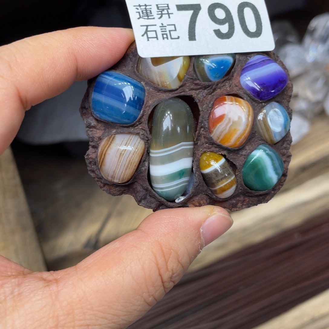 核桃木/黑胡桃（胡桃木）情**寿790