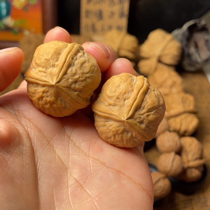 猫***呀云南野生铁核桃编号37