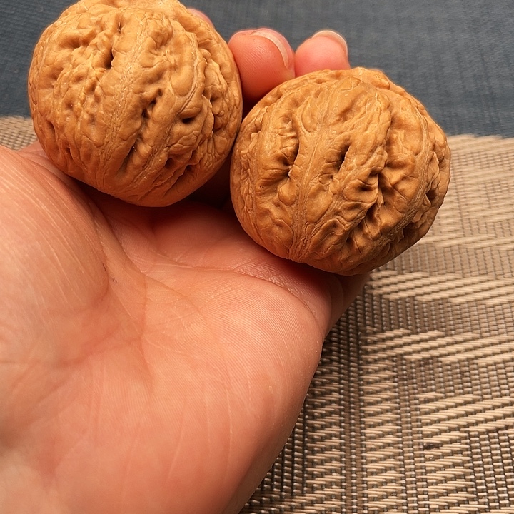 参***心霸王龙文玩核桃41