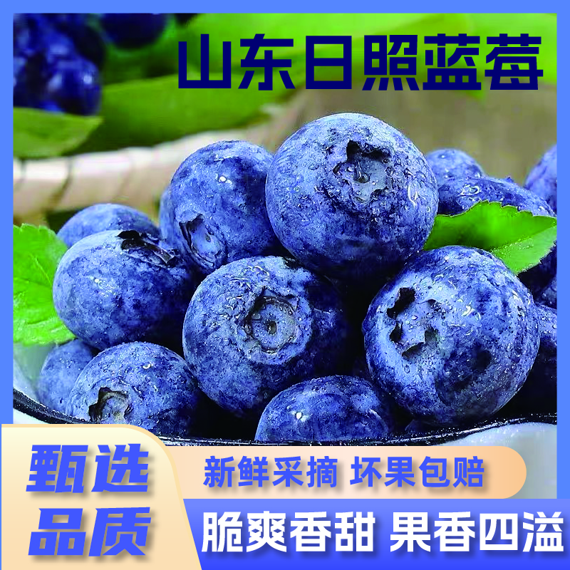 【顺丰京东冷链】正宗花香蓝莓新鲜采摘20-16mm100克/盒-jc