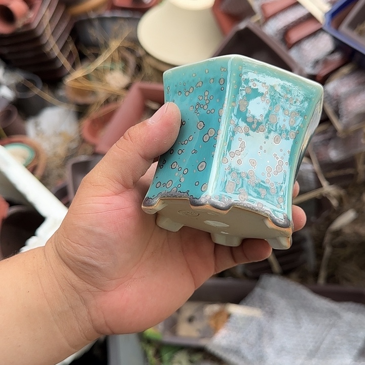 不说你是怎么对我们这些大