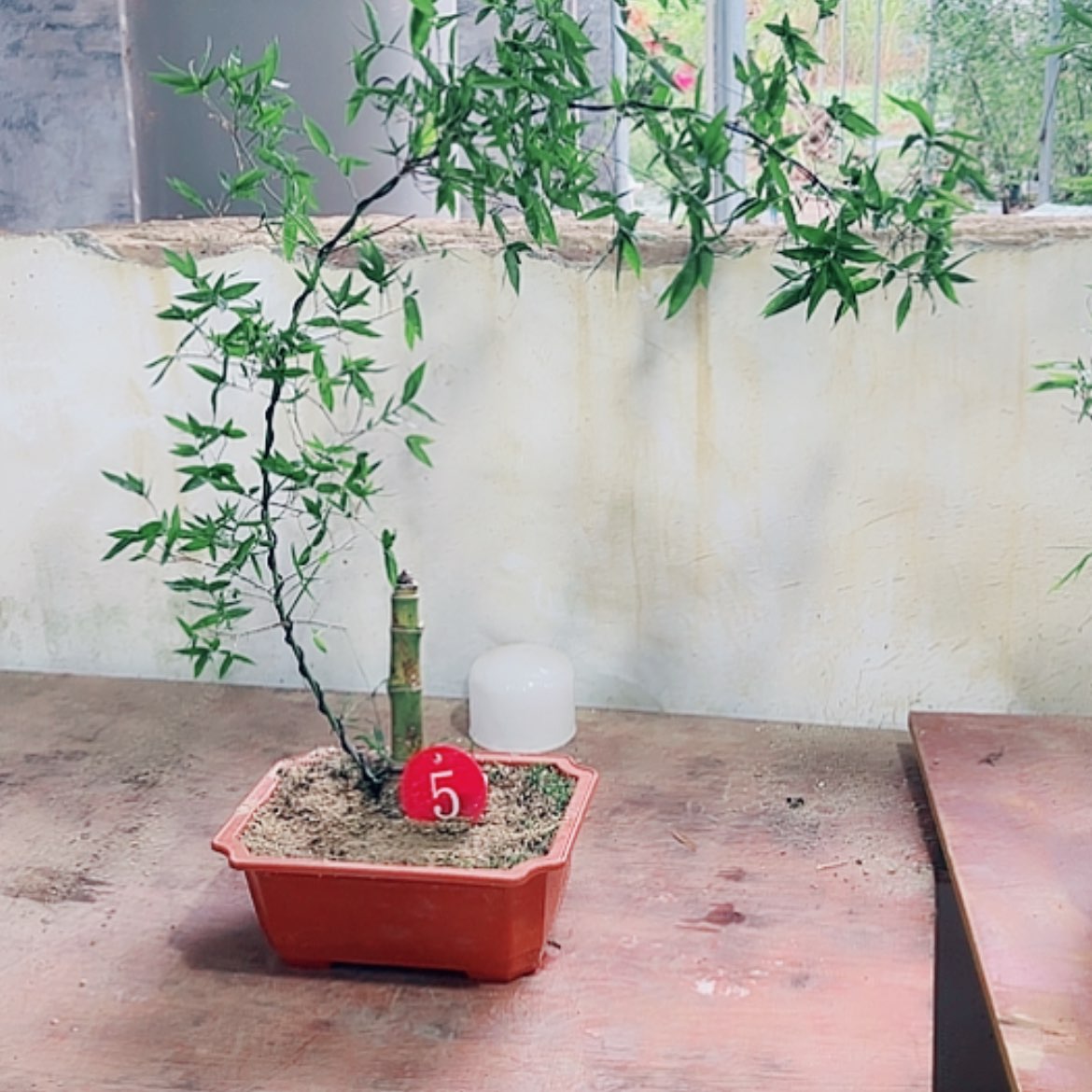 【闪购商品】完全开放?****⁹