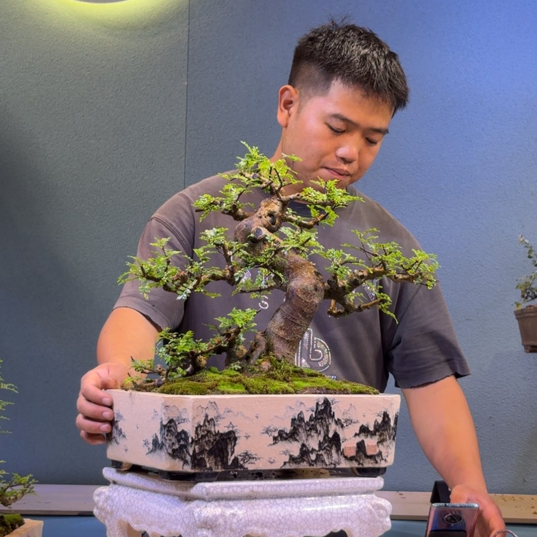 不***刚完全开放胡椒木一物一拍