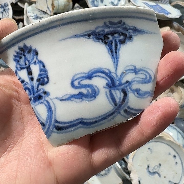 瓷片瓷片标本，顺丰包邮
