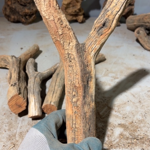 用***7大果紫檀（缅甸花梨）