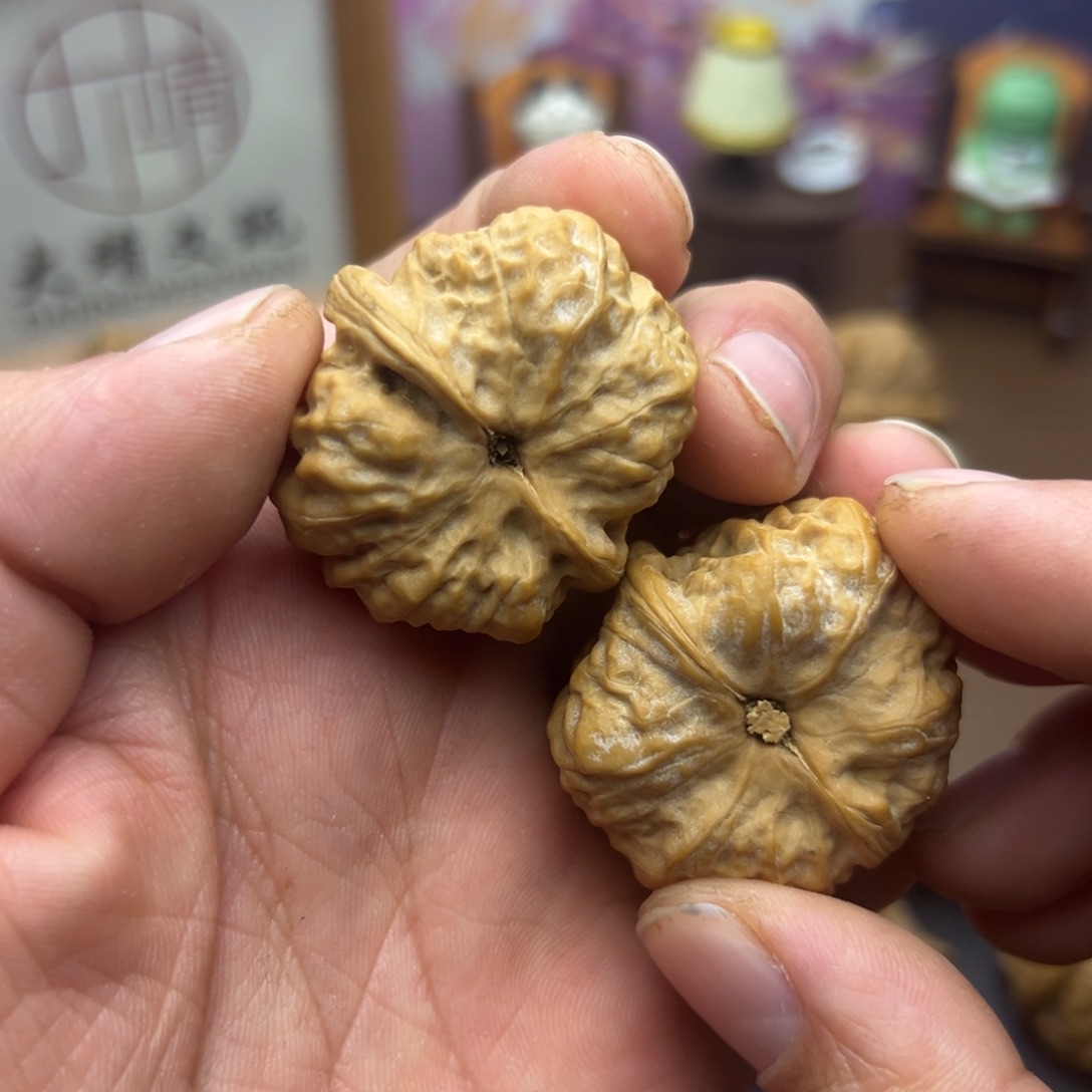 核桃手串/手链灰*灰36蛤蟆头全品