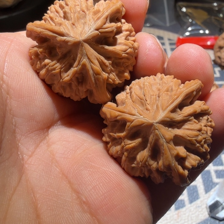 把件猴头核桃御龙正奔