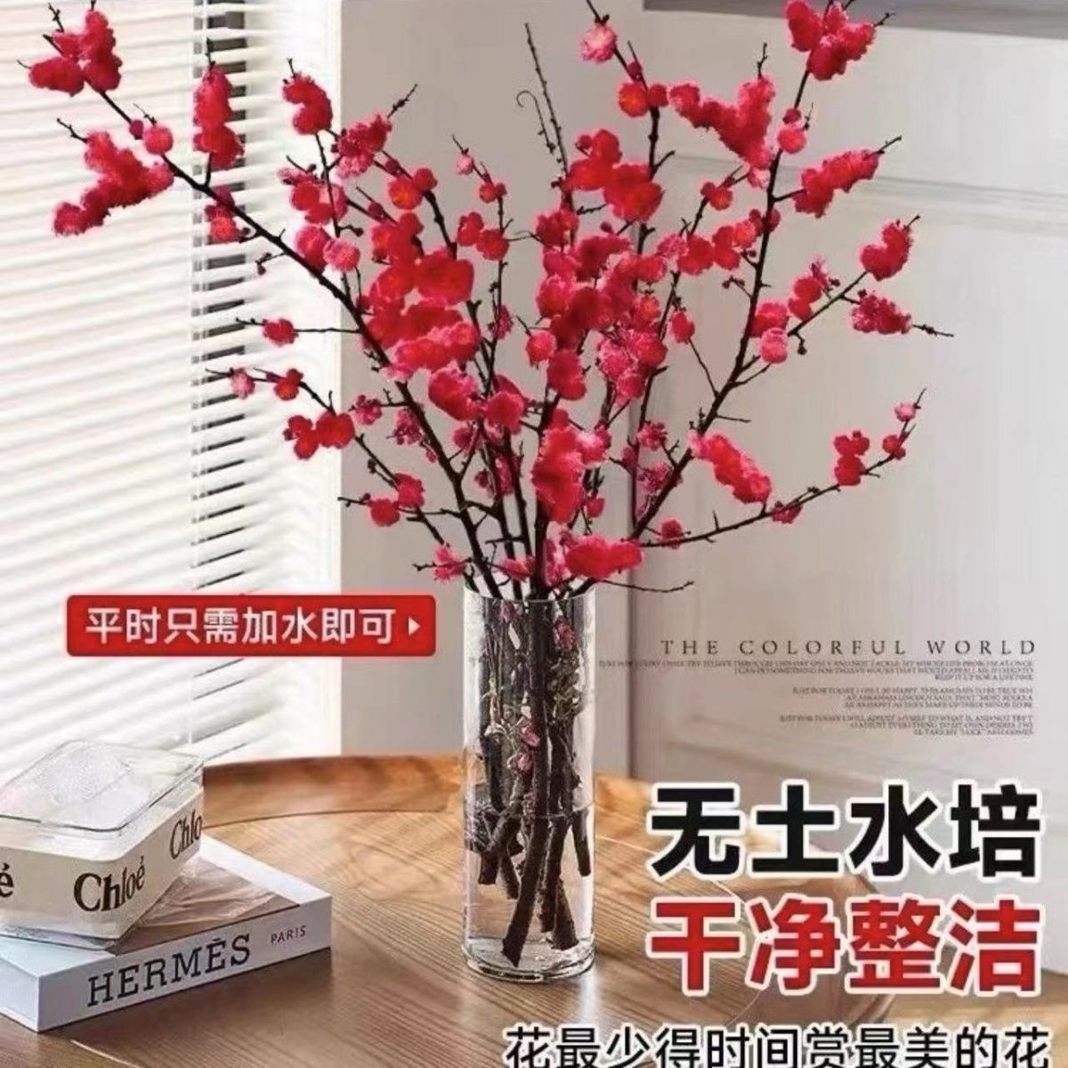（带芽孢）水培梅花鲜枝红梅年宵花新年装饰梅花枝条遇水开花冬季