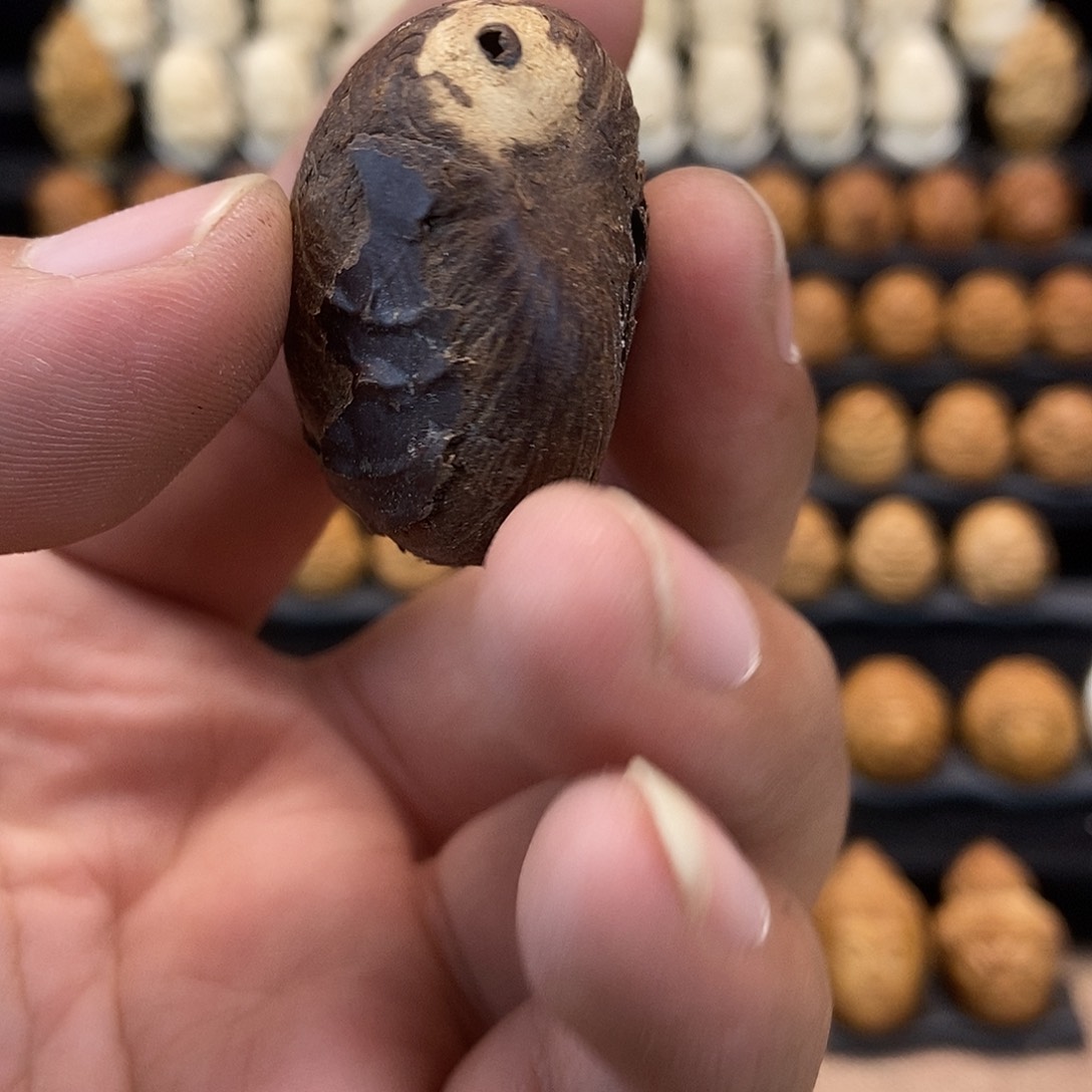 b***u果皮象牙果单子原料