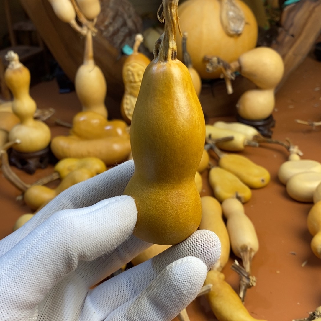 看***雨教练教练教练经理