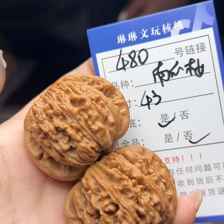 文玩核桃吊坠核桃树480
