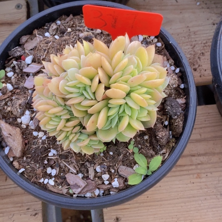 你不去上班就好哦