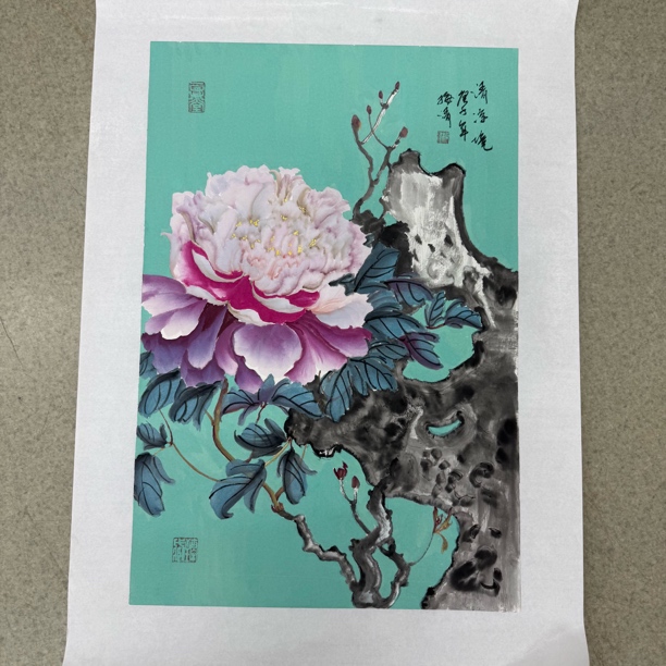 梅清老师 2.7pc花鸟