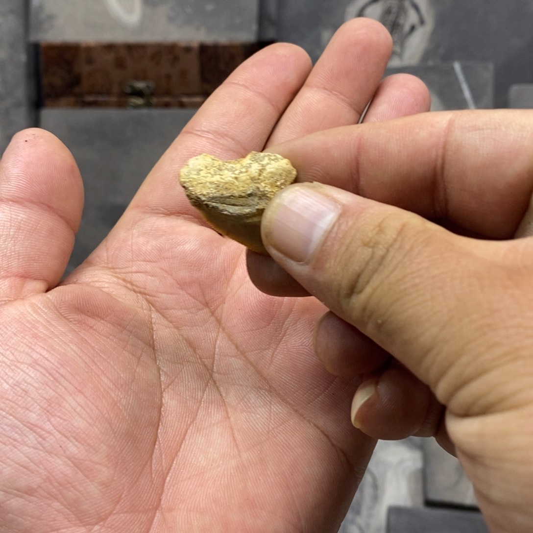 石材X*大自然的秘密就是这样神奇