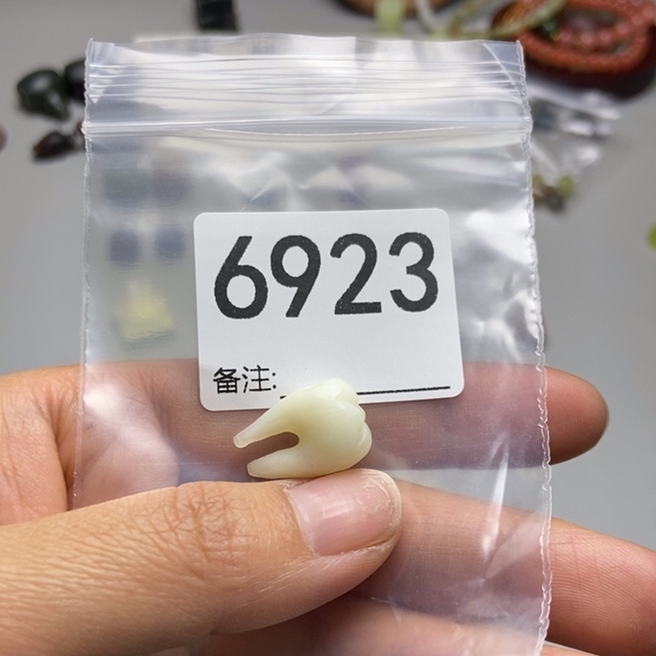 S***翁蛇纹石玉未镶嵌项链
