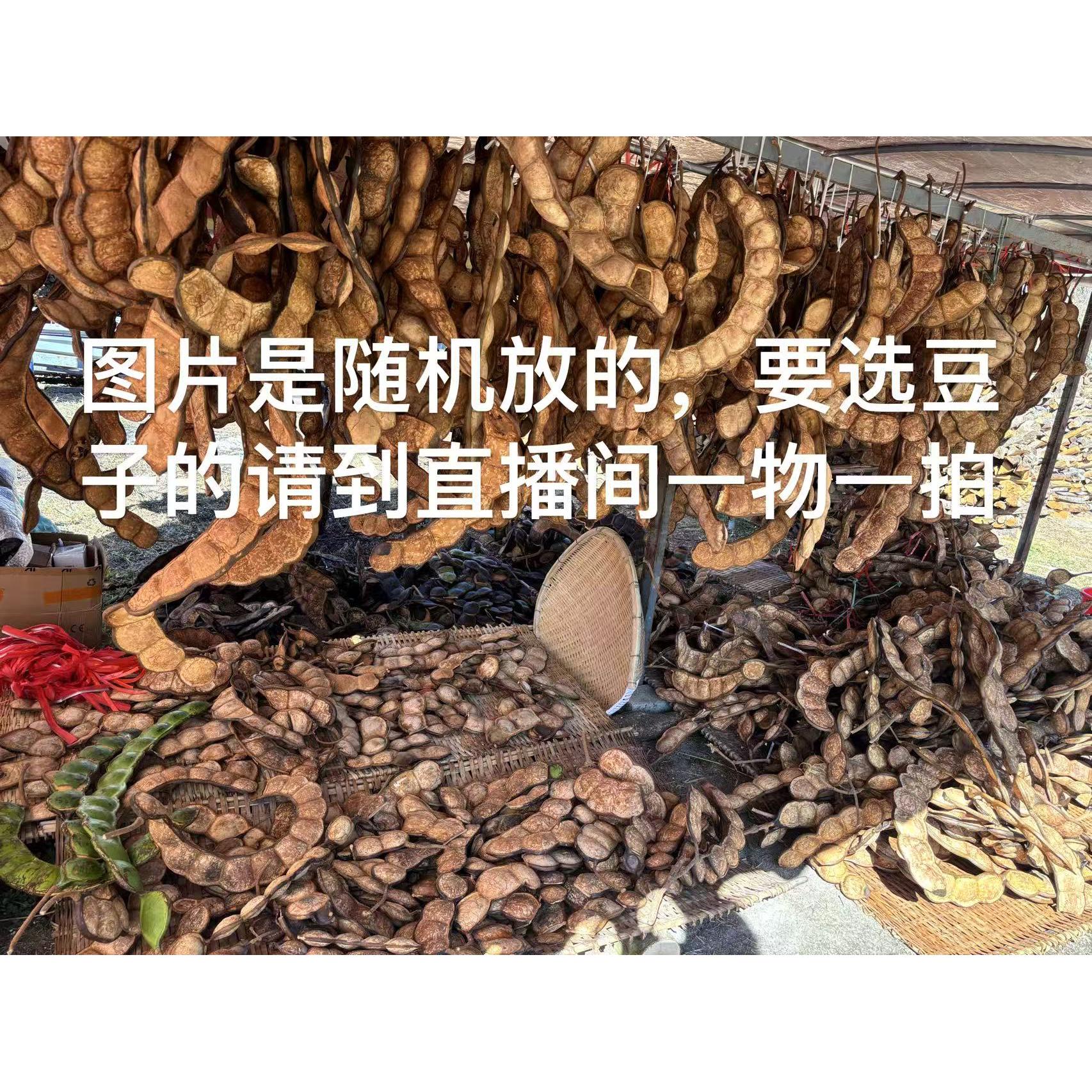 平安豆榼藤豆荚天然小众手工diy装饰摆件