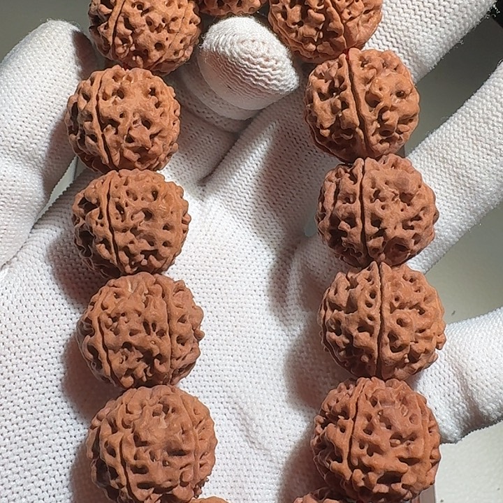 吊坠金刚菩提老树蜂窝双龙21