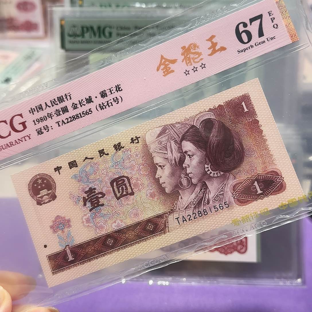 纸22881565。。。。金龙王