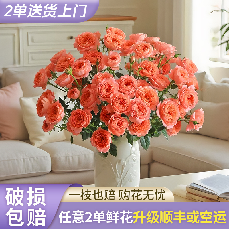 【花王朝】杏色果汁多头玫瑰- 云南直发鲜花家居水养插花鲜切花 