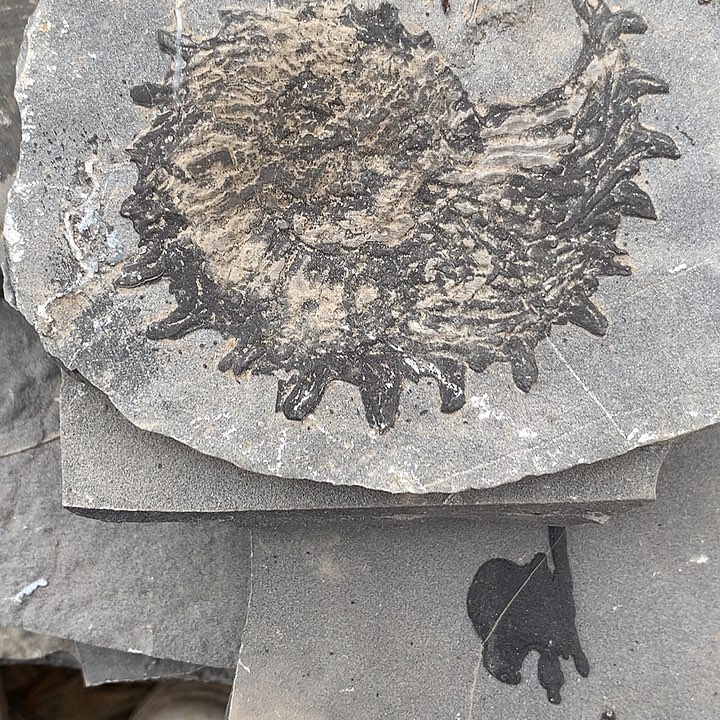 石材贵州石头工艺品摆件