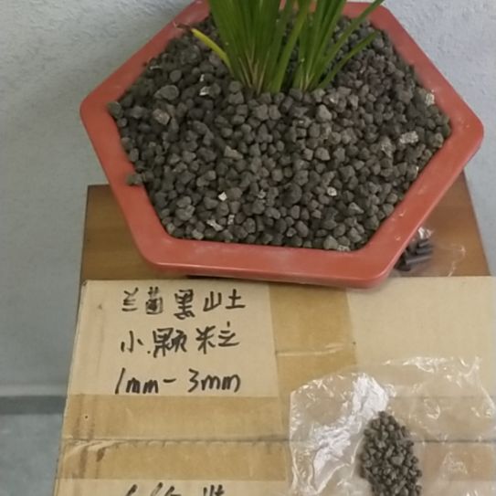 晨***龍兰菌黑山土小颗粒6.6斤