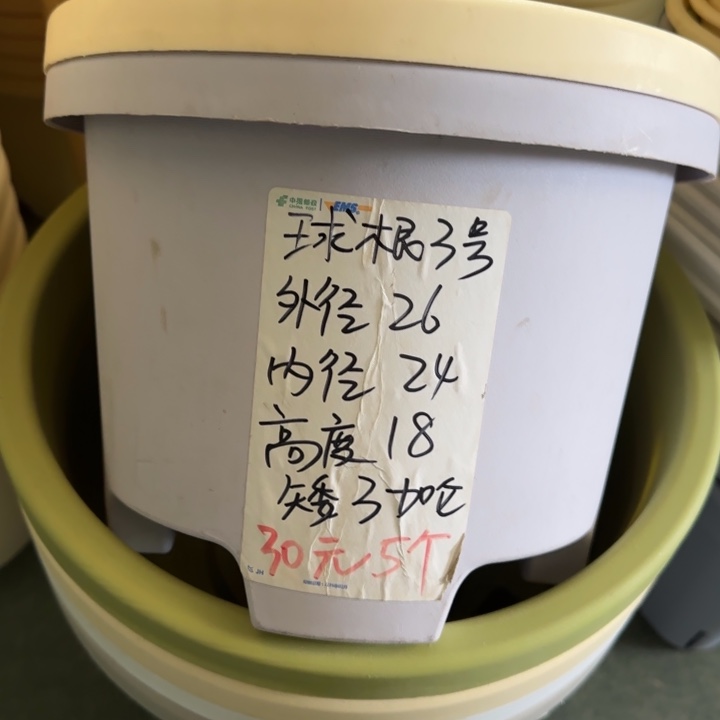 球根3#口径26无托灰白6个