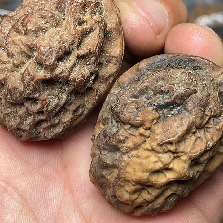 把件文玩核桃志成云铁文玩98