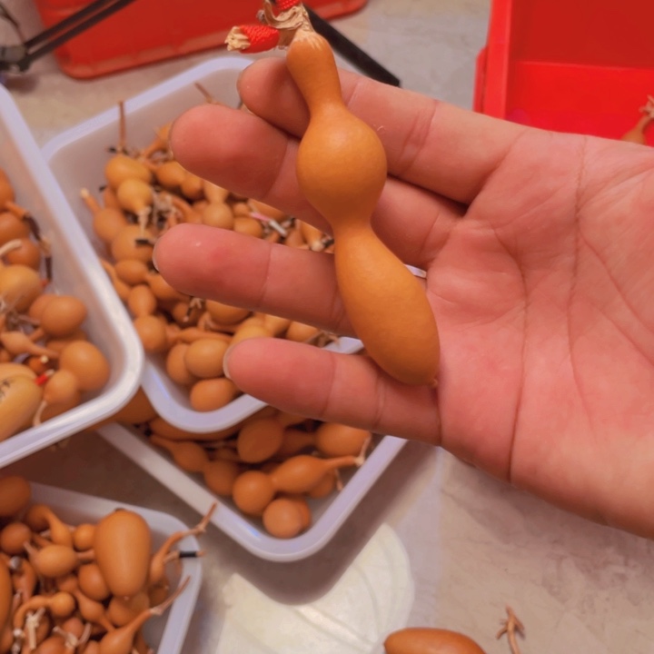 理****计文玩葫芦58