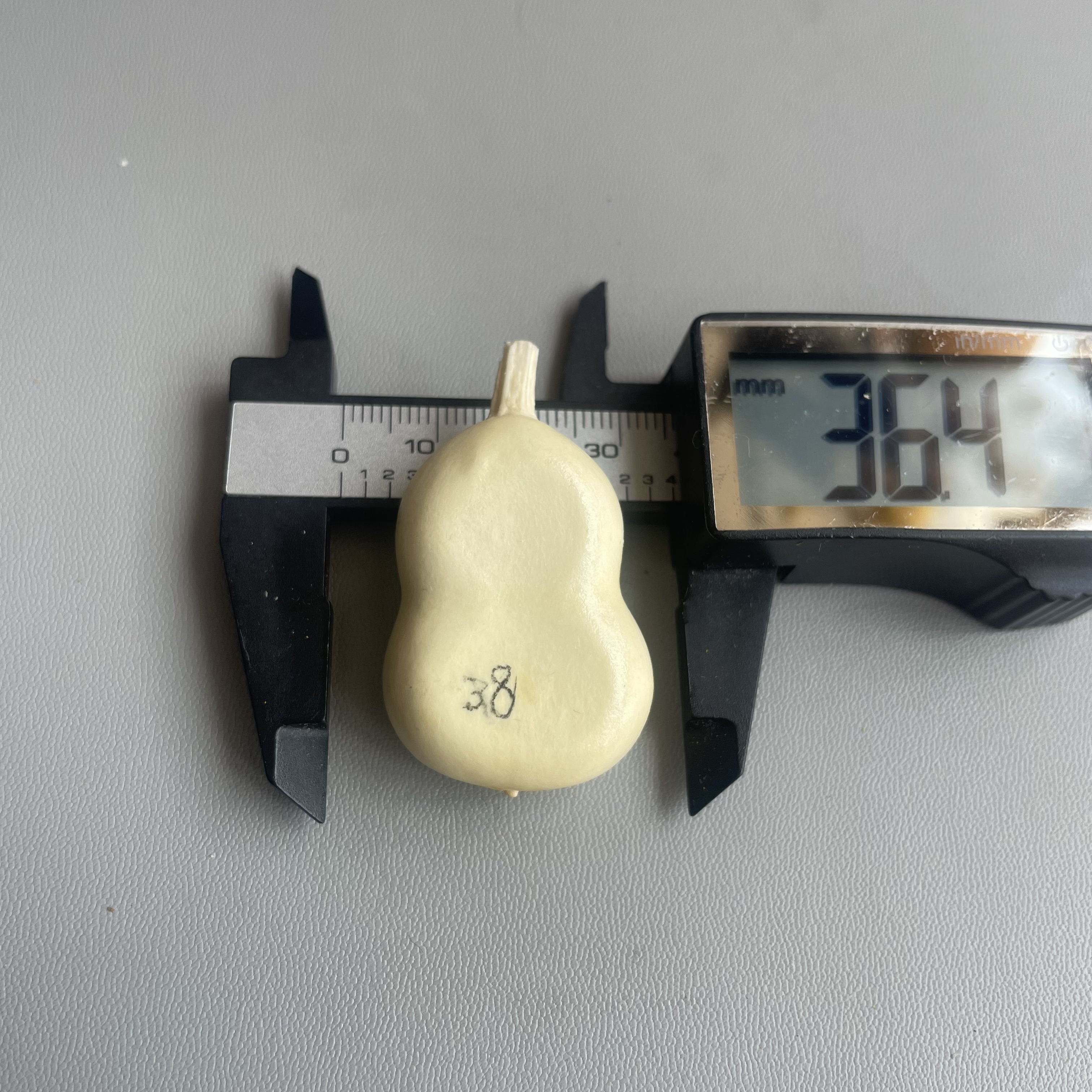 精品夹扁葫芦，尺寸看图，底脐完美，一物一图