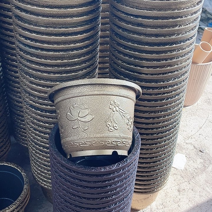 圆50两个有孔金色的