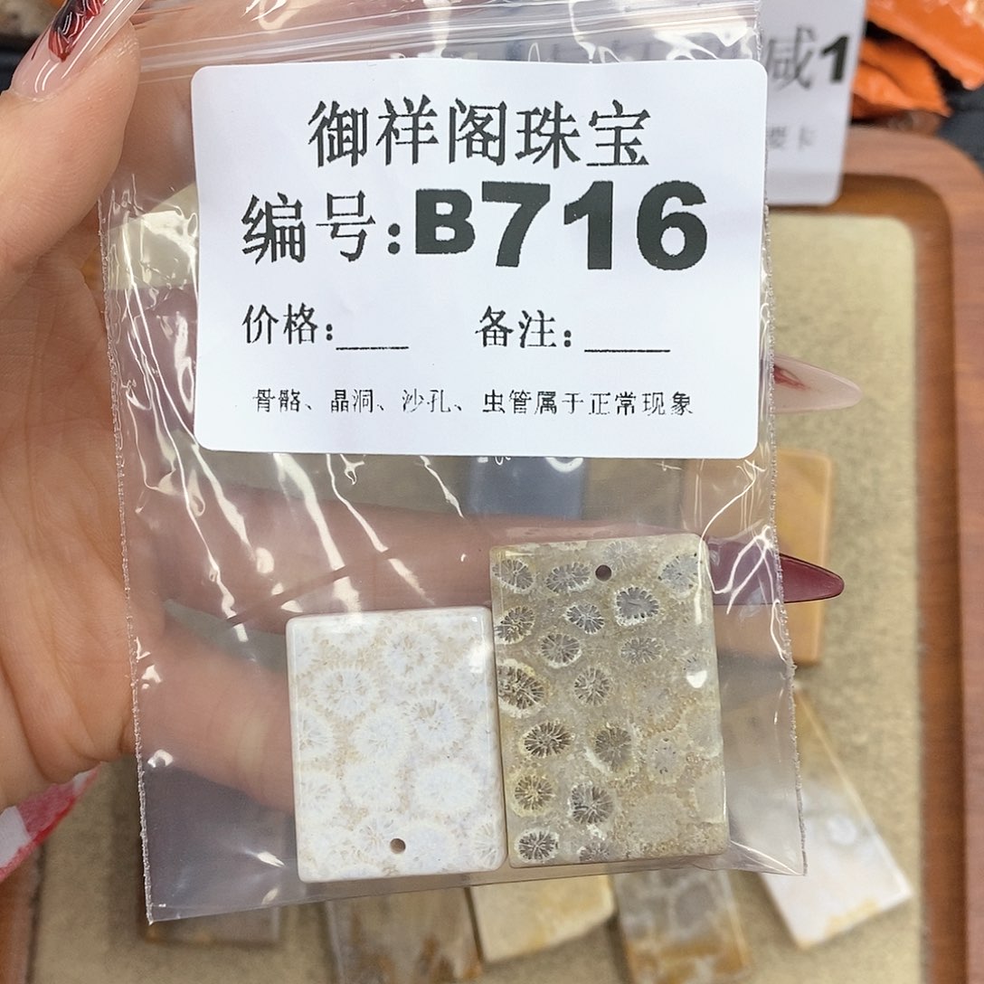 硅化珊瑚（珊瑚玉）颈饰未镶嵌江****?