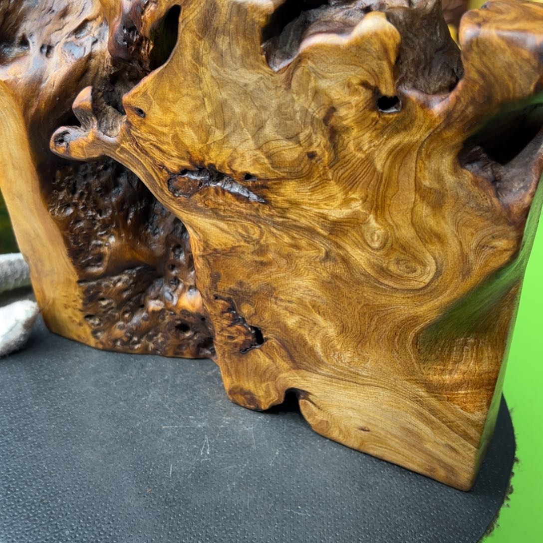 ᰔ***生其他大果紫檀（缅甸花梨）