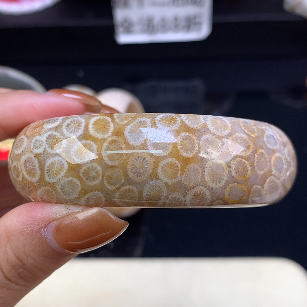 【闪购商品】颈饰未镶嵌硅化珊瑚（珊瑚玉）福利手镯56.8（36号）