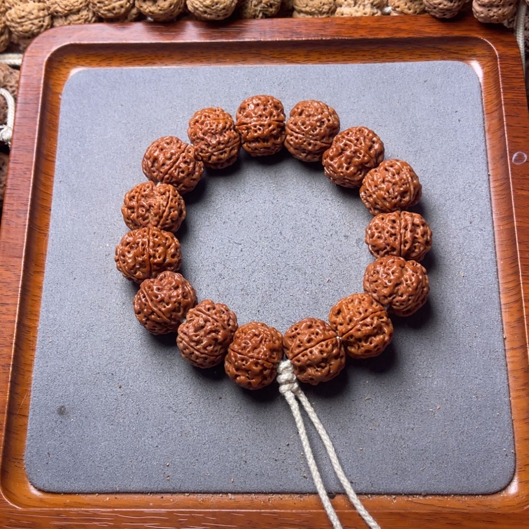 菩提籽类14号金刚菩提满肉蜂窝21