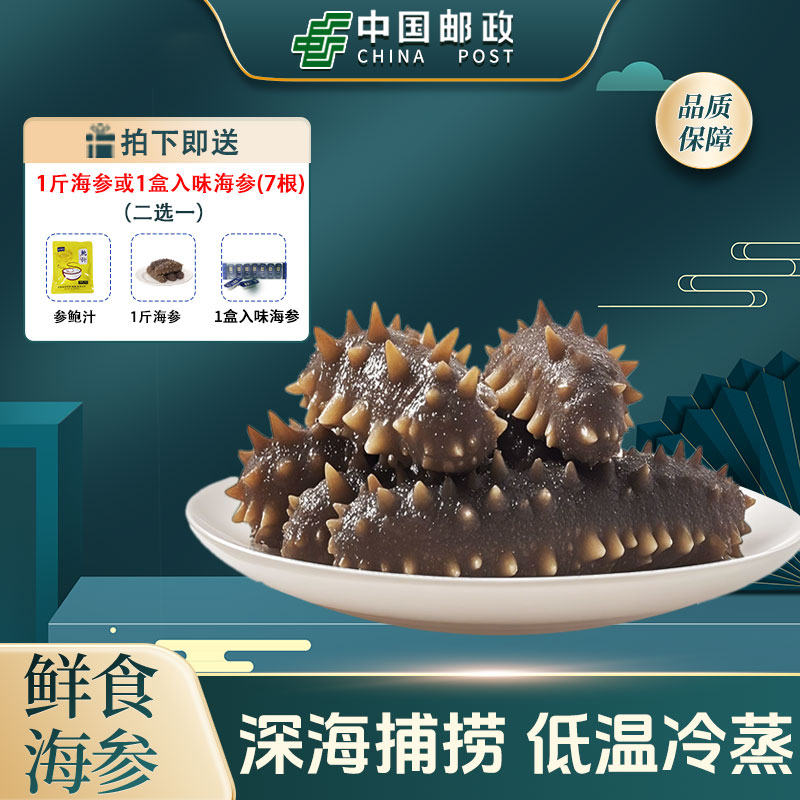 【中国邮政&央企严选】4-9头/满3斤送1斤渤海湾鲜食海参新鲜滋补 