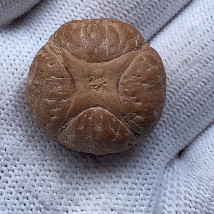 凤眼菩提手串于*大22.6mm麒麟眼打孔不退换