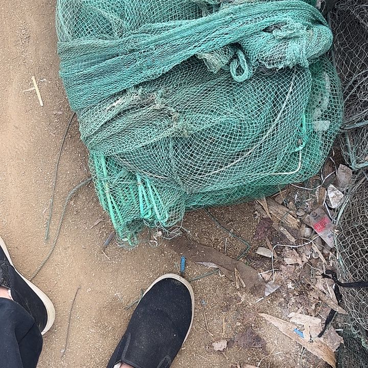 难***丝虾笼828228828181811848