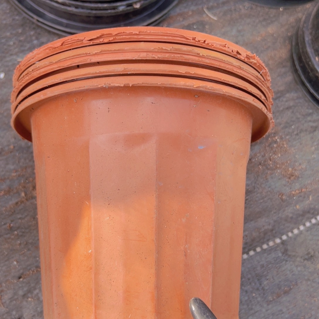 塑料红砖盆16.5口径13厘米高 15个