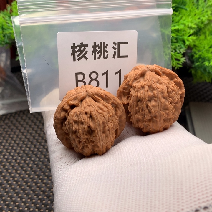 文玩核桃把件白狮子40